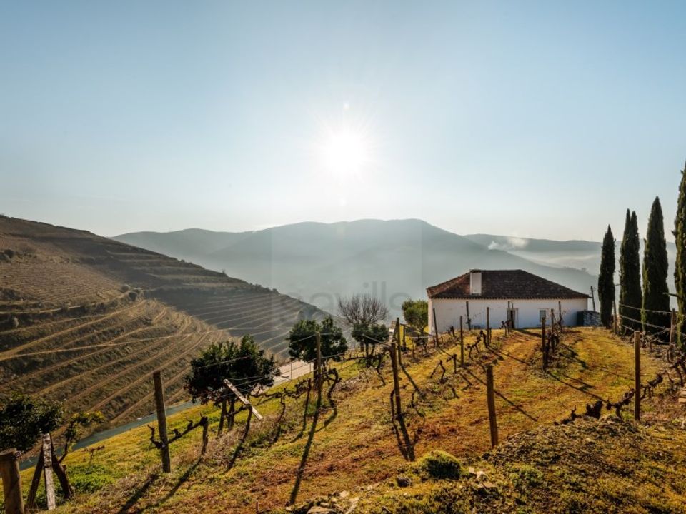 Farm i Ervedosa do Douro, Viseu - foto 5