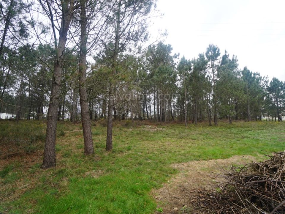 Helårsgrund i Gandra e Taiao, Viana do Castelo - foto 2