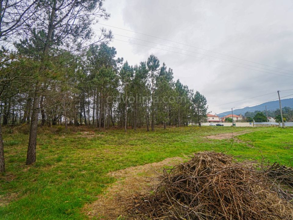 Helårsgrund i Gandra e Taiao, Viana do Castelo - foto 4