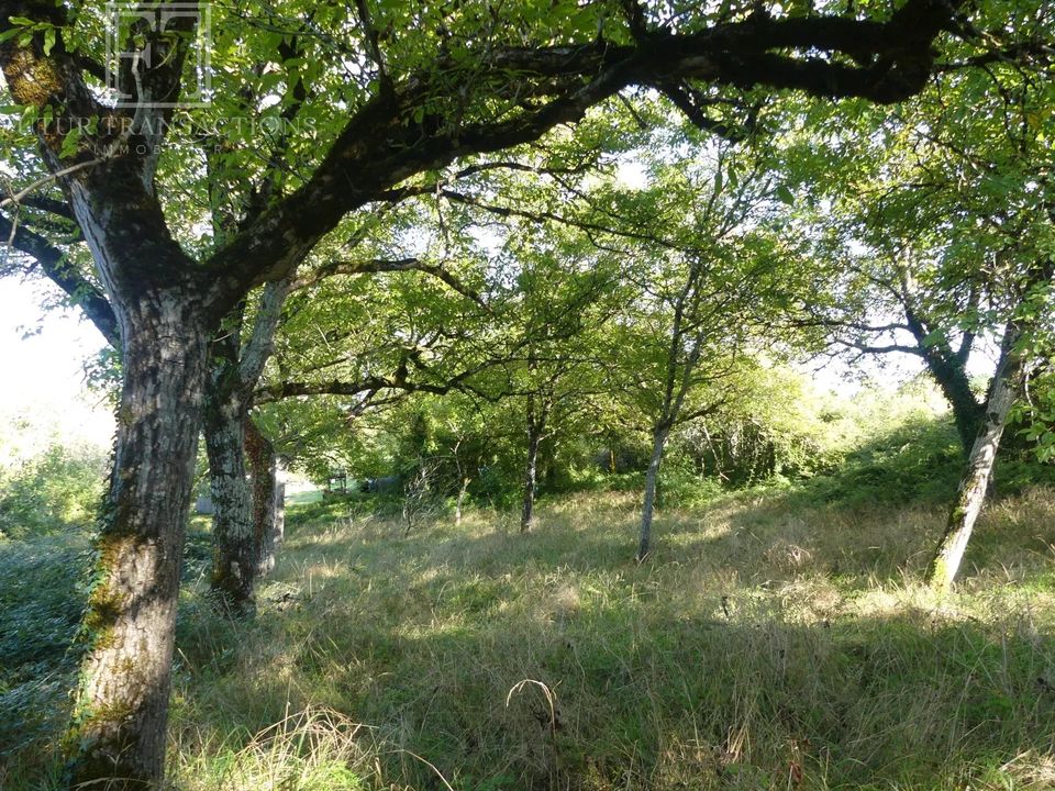 Helårsgrund i Bourdeilles, Dordogne - foto 1