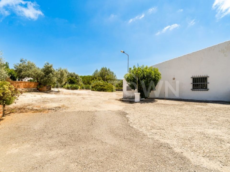 Farm i Mira de Aire, Leiria - foto 3