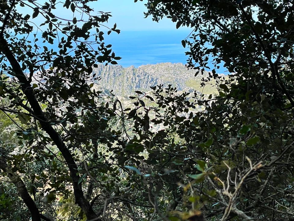 Landejendom i Escorca, Mallorca - foto 4