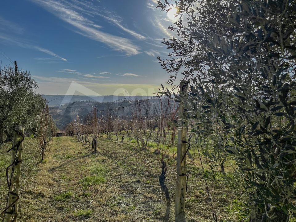 Næringseiendom i Monte Roberto, Ancona - bilde 1