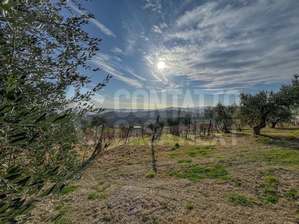 Næringseiendom i Monte Roberto, Ancona - bilde 3