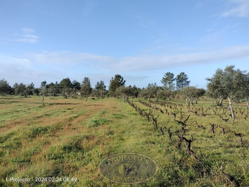 Grond in Coruche, Santarem - foto 3