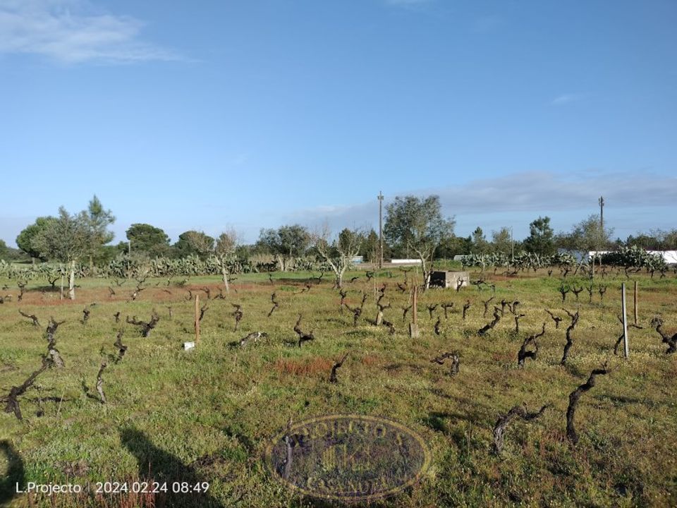 Grond in Coruche, Santarem - foto 4