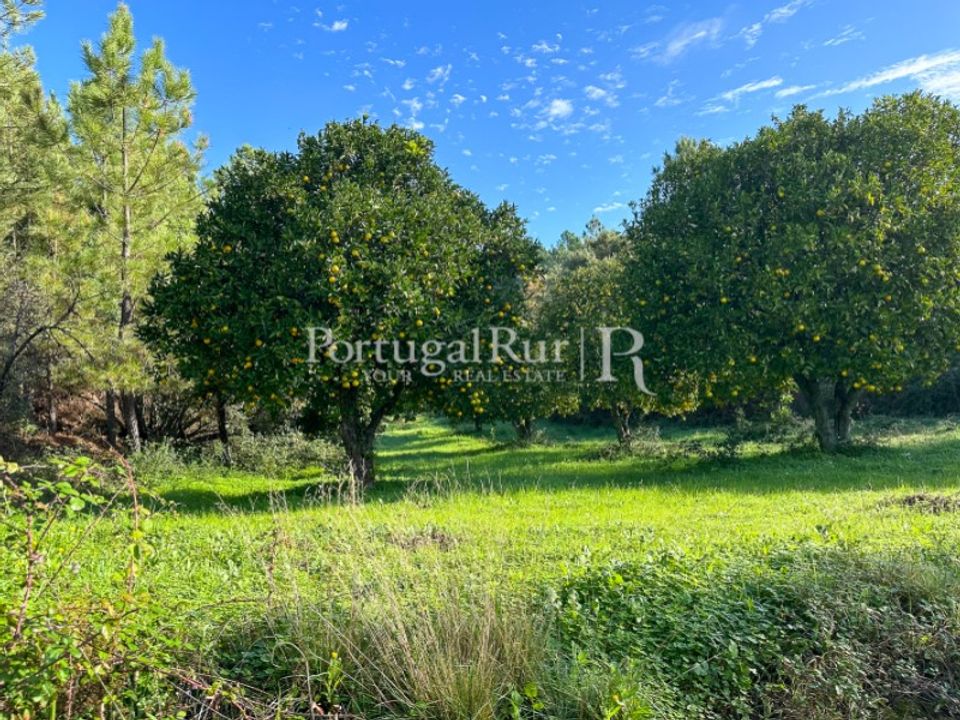 Farm i Idanha-a-Nova, Castelo Branco - foto 1