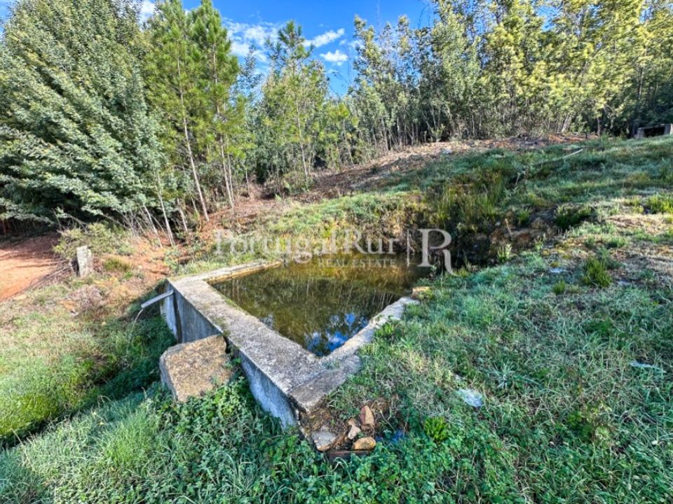 Farm i Idanha-a-Nova, Castelo Branco - foto 2