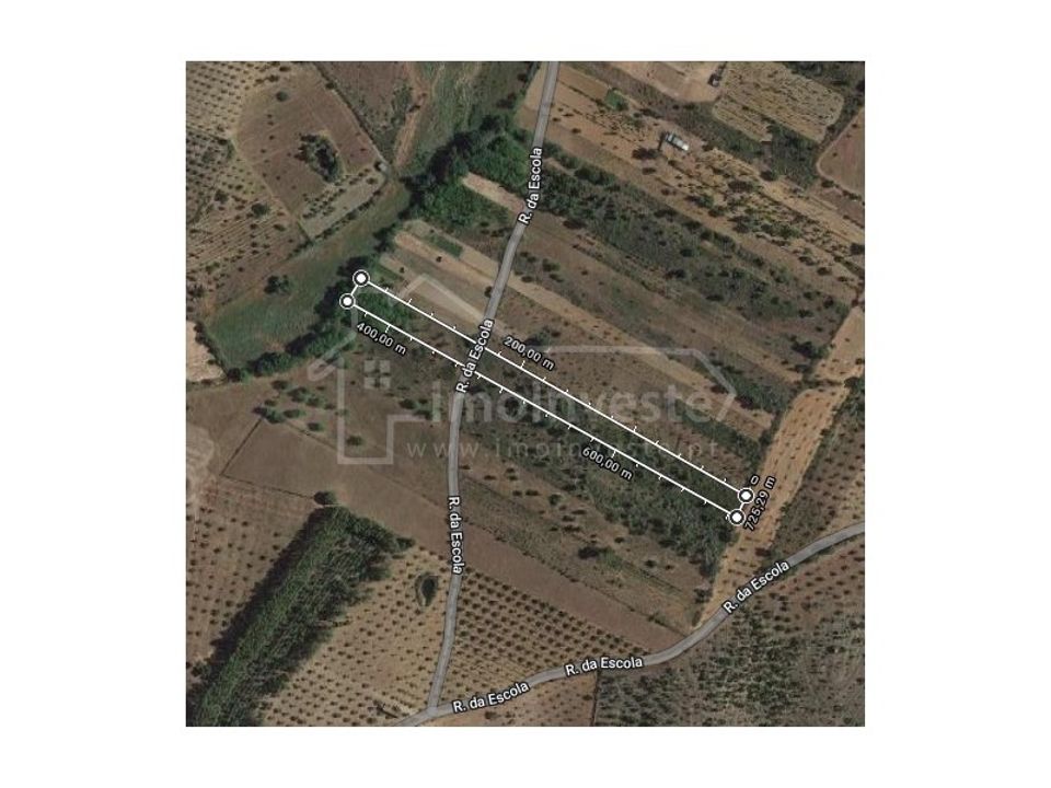 Terra a Ninho do Acor, Castelo Branco - foto 1