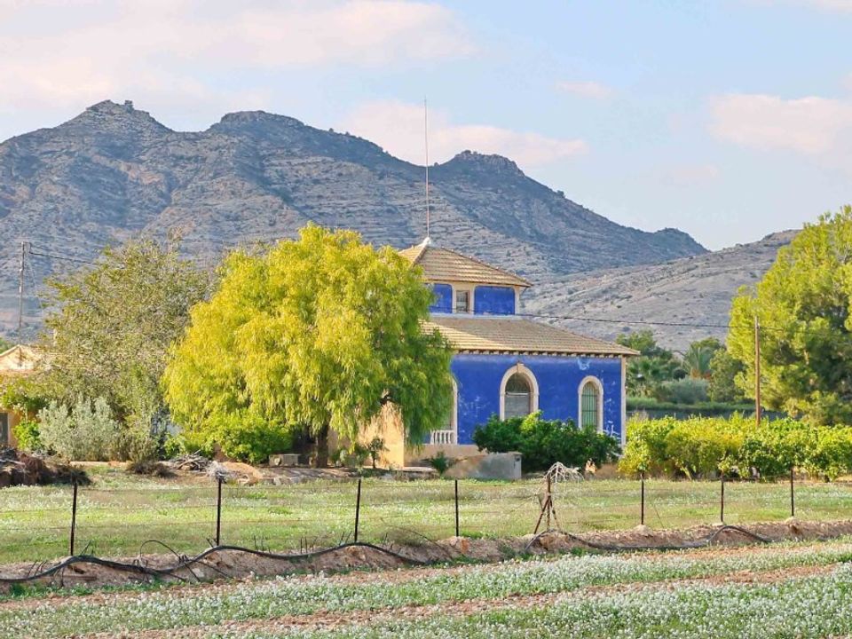 Villa i Aspe, Alicante - foto 3