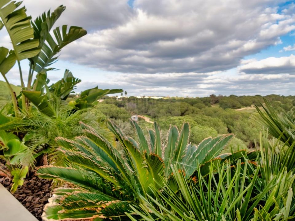 Penthouse i Albufeira, Faro - foto 4