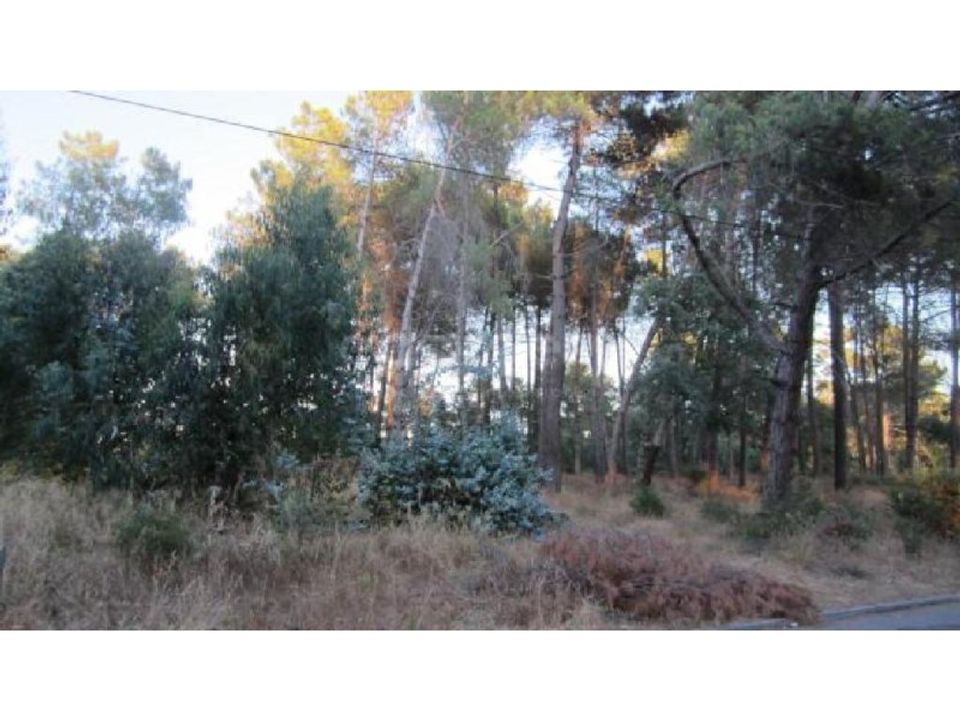 Helårsgrund i Brejos de Azeitao, Setubal - foto 2