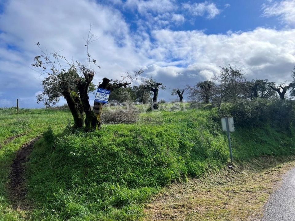 Helårsgrund i Casais e Alviobeira, Santarem - foto 1