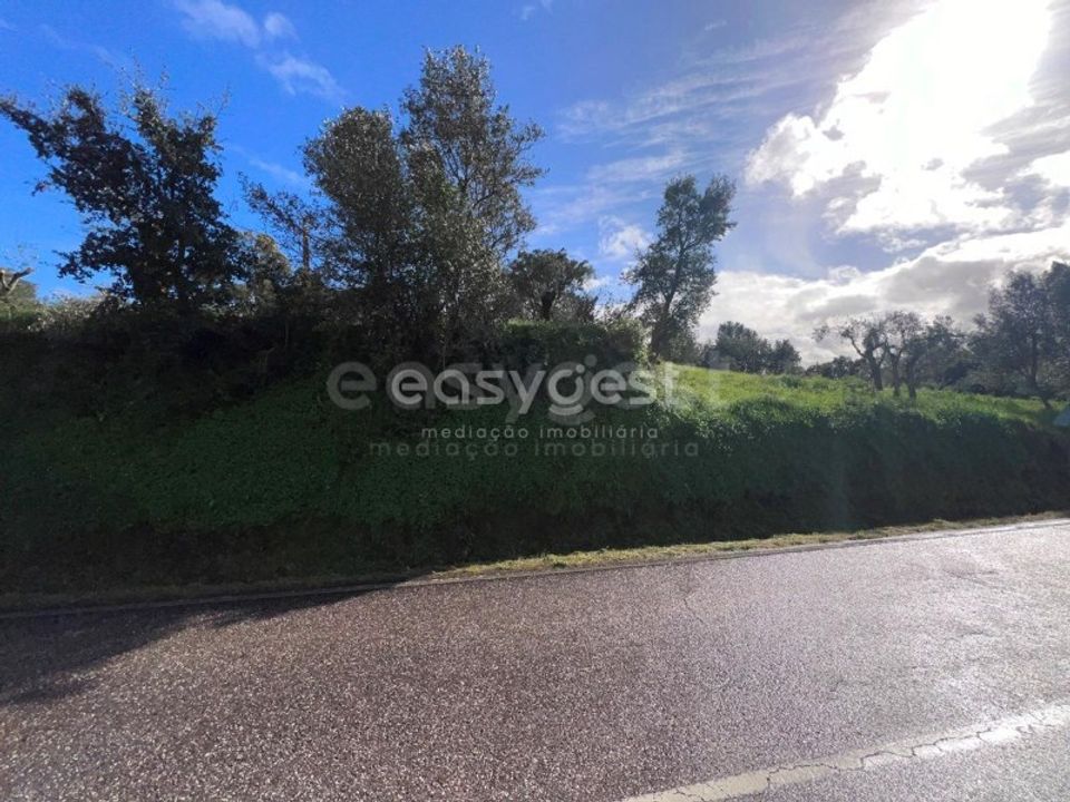 Helårsgrund i Casais e Alviobeira, Santarem - foto 3