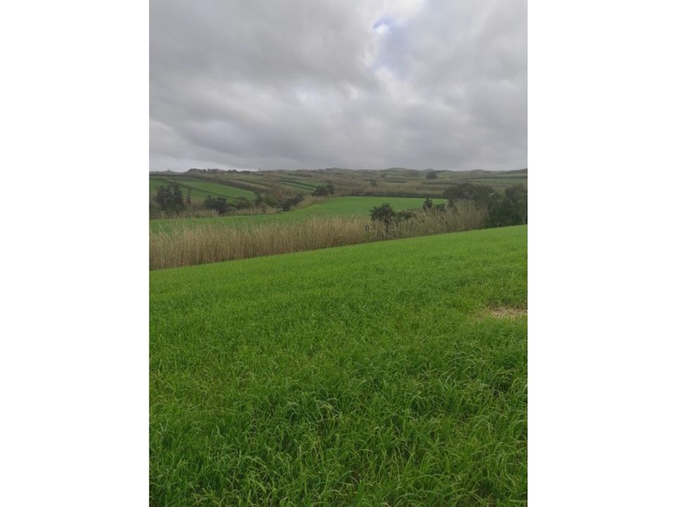 Helårsgrund i Pilar da bretanha, Sao Miguel - foto 2