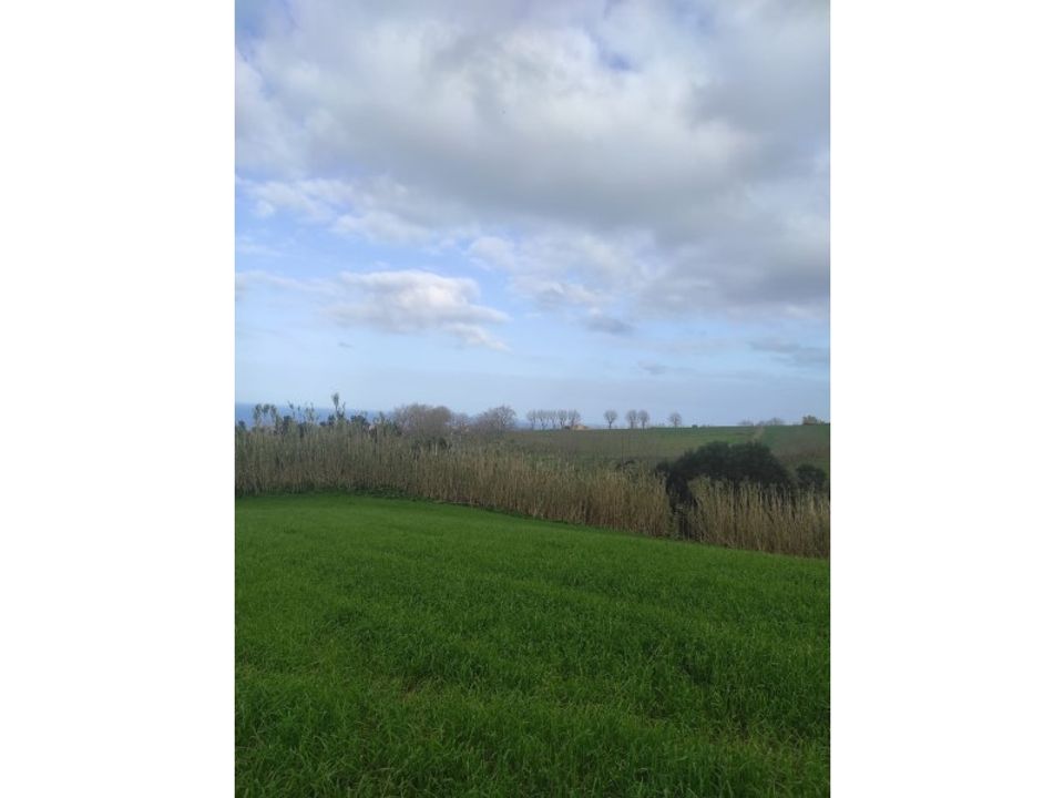 Helårsgrund i Pilar da bretanha, Sao Miguel - foto 3