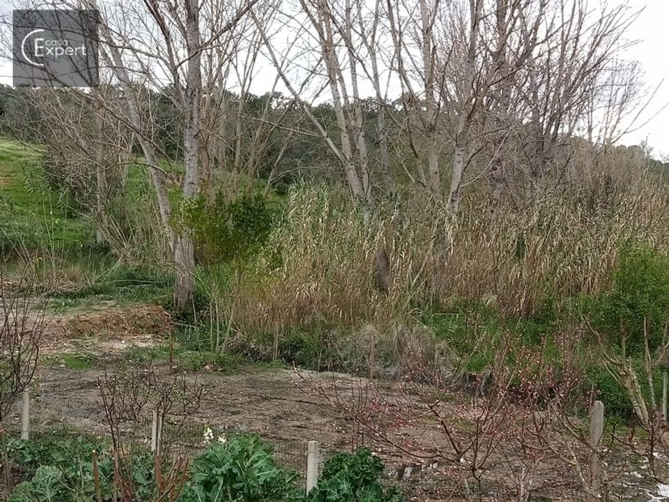 Helårsgrund i Torrao, Setubal - foto 4