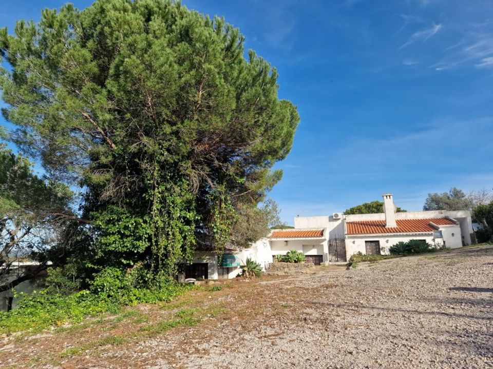 Helårsgrund i Sao Bras de Alportel, Faro - foto 3
