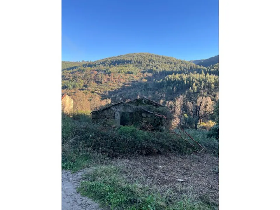 Farm i Oliveira do Hospital, Coimbra - foto 3