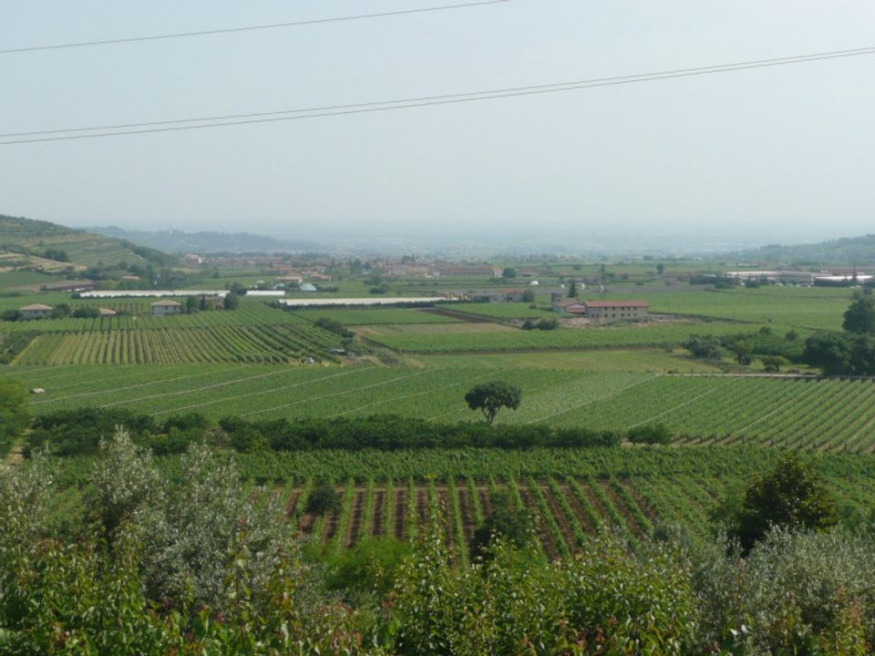 Helårsgrund i Tregnago, Verona - foto 5