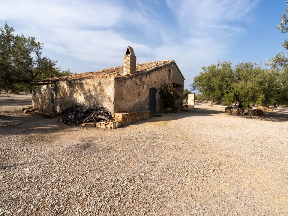 Finca a Roquetes, Tarragona - foto 3