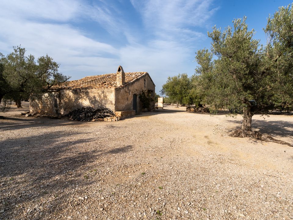 Finca a Roquetes, Tarragona - foto 4