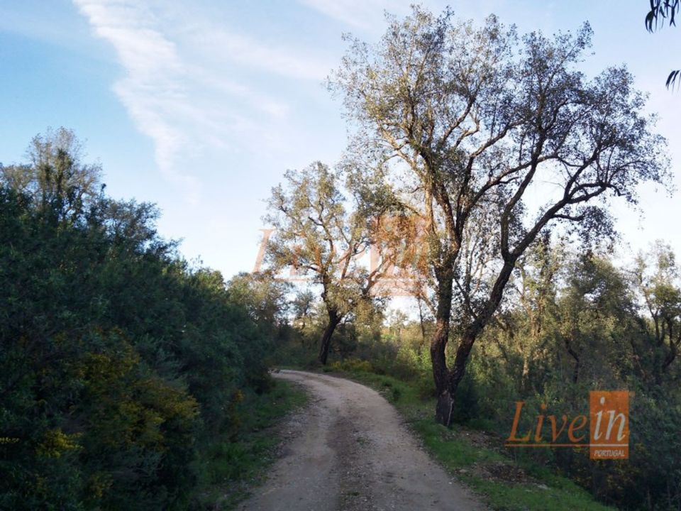Helårsgrund i Serra, Santarem - foto 4