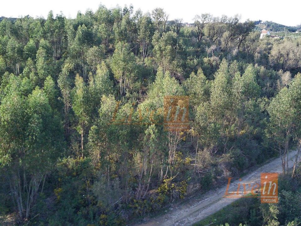 Helårsgrund i Serra, Santarem - foto 5