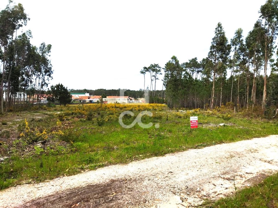 Helårsgrund i Vieira de Leiria, Leiria - foto 1