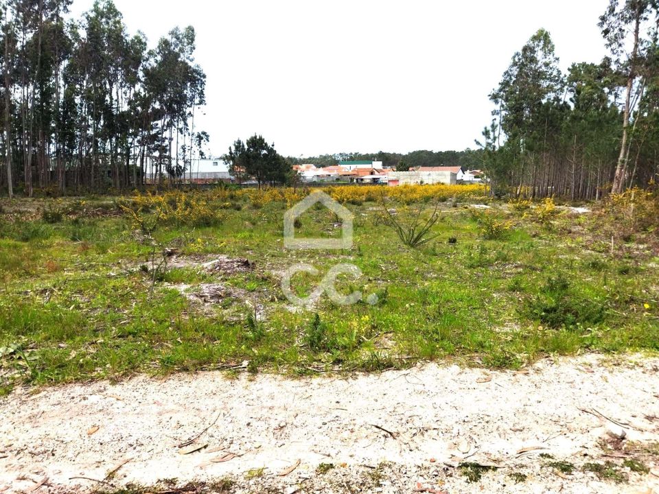 Helårsgrund i Vieira de Leiria, Leiria - foto 5