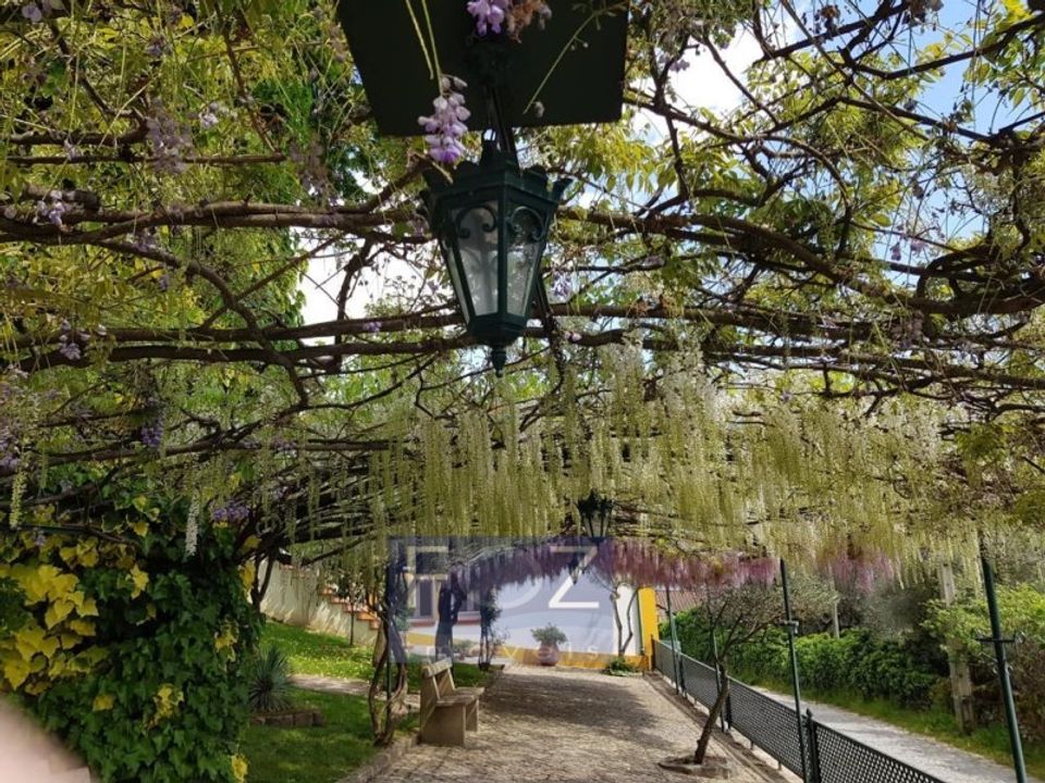 Farm Santa Cruz-Trindade e Sanjurgessa, Vila Real - kuva 1