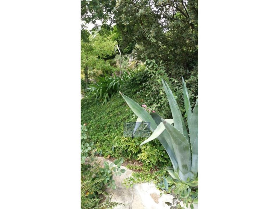 Farm Santa Cruz-Trindade e Sanjurgessa, Vila Real - kuva 3