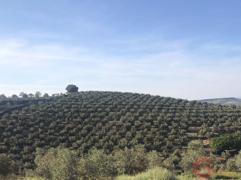 Finca i Castril De La Pena, Granada - foto 1