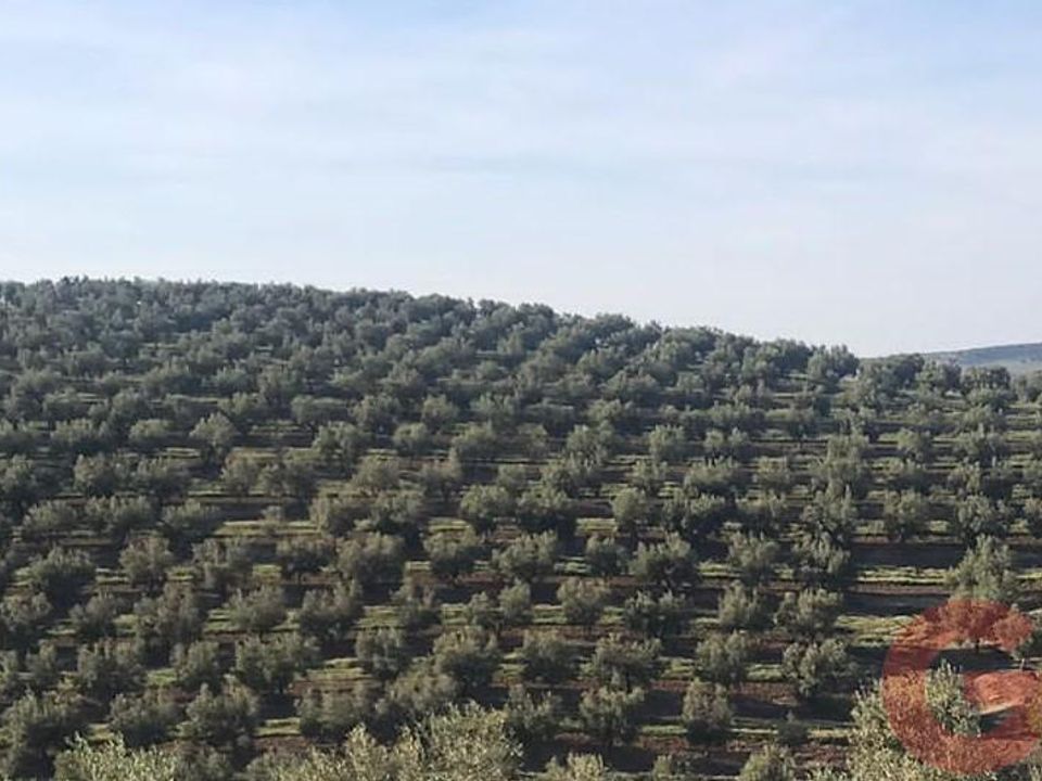 Finca i Castril De La Pena, Granada - foto 3