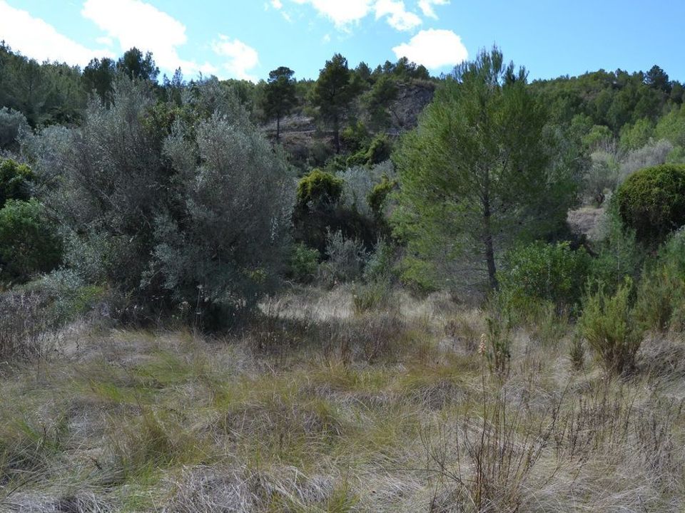 Terra a Guadalest, Alicante - foto 1