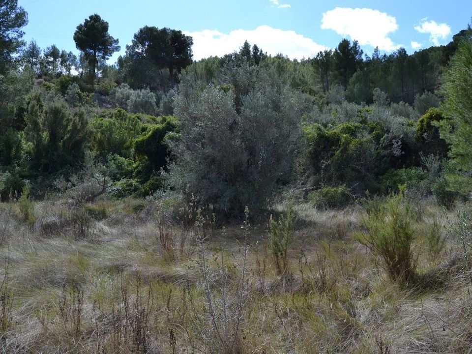 Terra a Guadalest, Alicante - foto 2