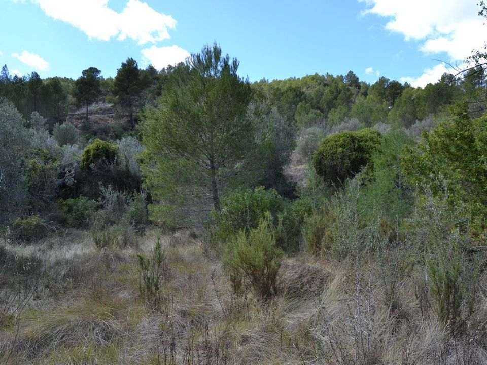 Terra a Guadalest, Alicante - foto 3