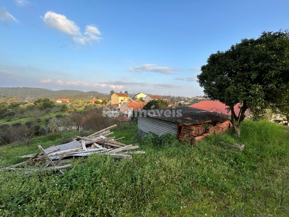 Landejendom i Asseiceira, Santarem - foto 5