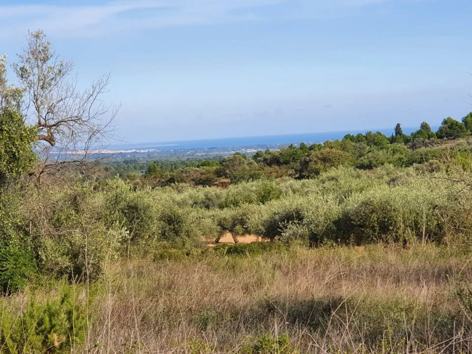 Landejendom i Sant Jordi, Castellon - foto 2