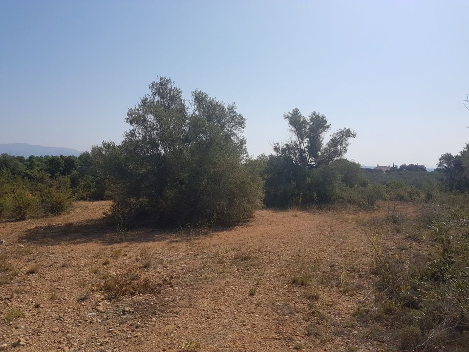 Landejendom i Sant Jordi, Castellon - foto 3