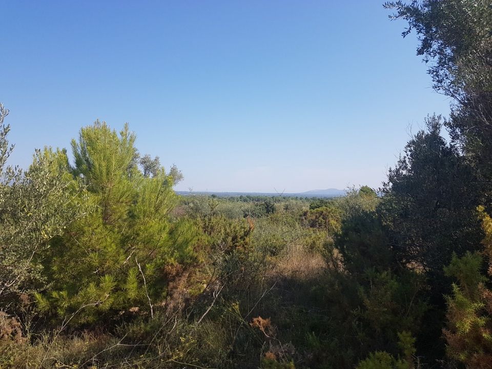 Landejendom i Sant Jordi, Castellon - foto 4