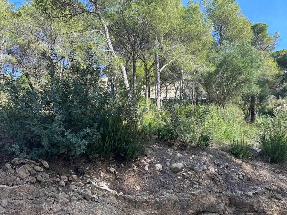 Helårsgrund i Capdepera, Mallorca - foto 4
