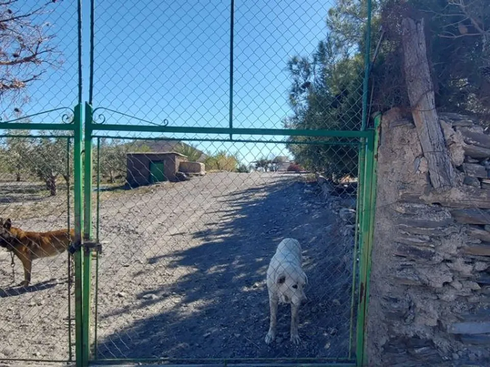 Helårsgrund i Gergal, Almeria - foto 2