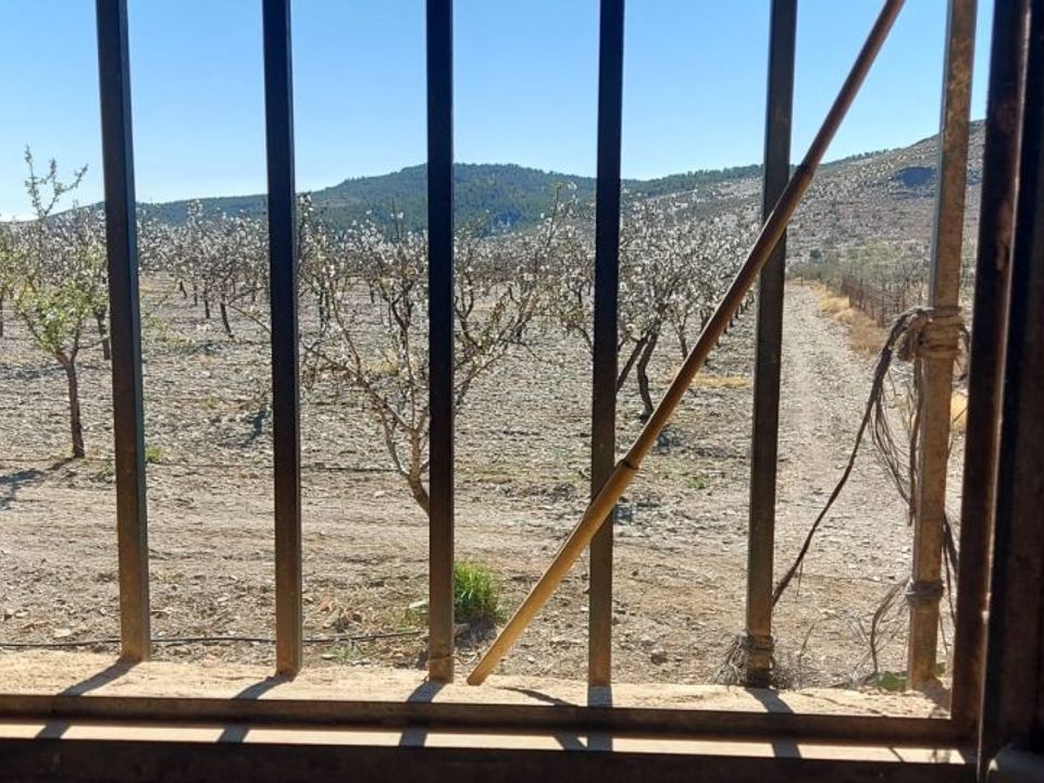 Helårsgrund i Gergal, Almeria - foto 4