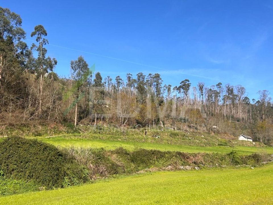 Terra a Joane, Braga - foto 2