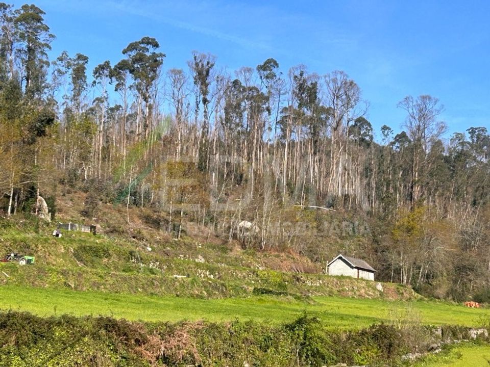 Terra a Joane, Braga - foto 3
