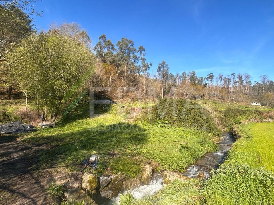 Terra a Joane, Braga - foto 4