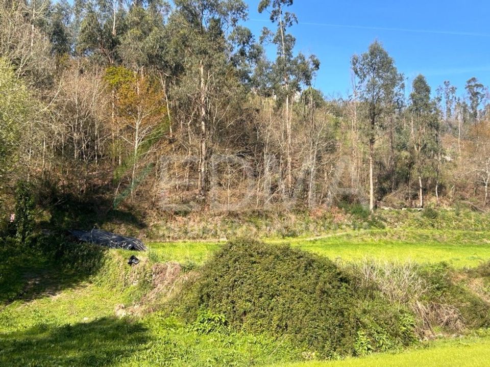 Terra a Joane, Braga - foto 5