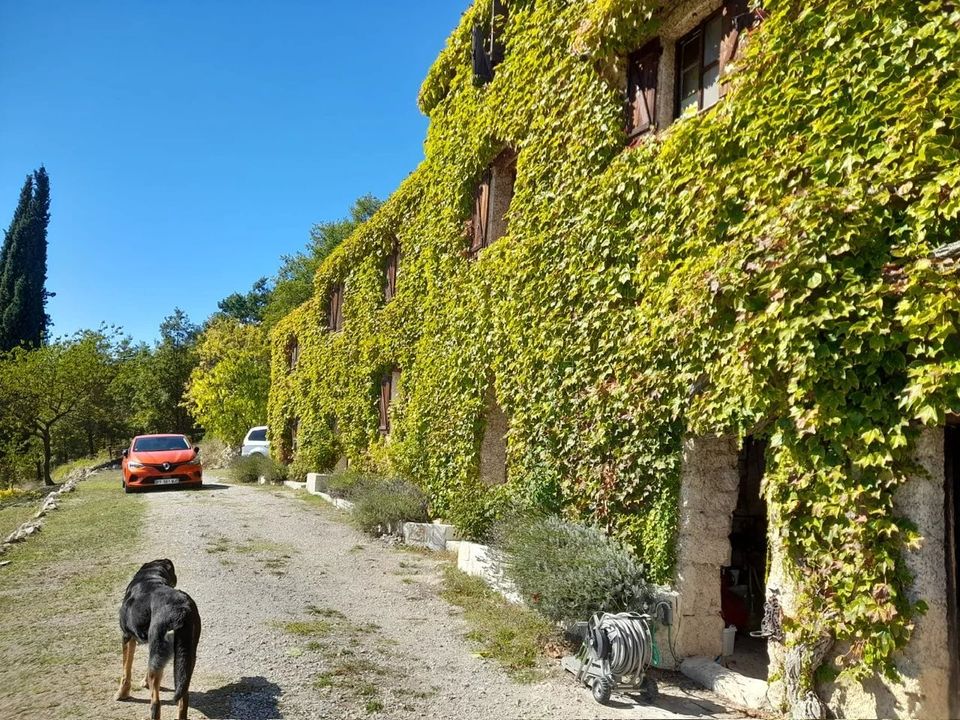 Landejendom i Saint-Pierre, Alpes-de-Haute-Provence - foto 2