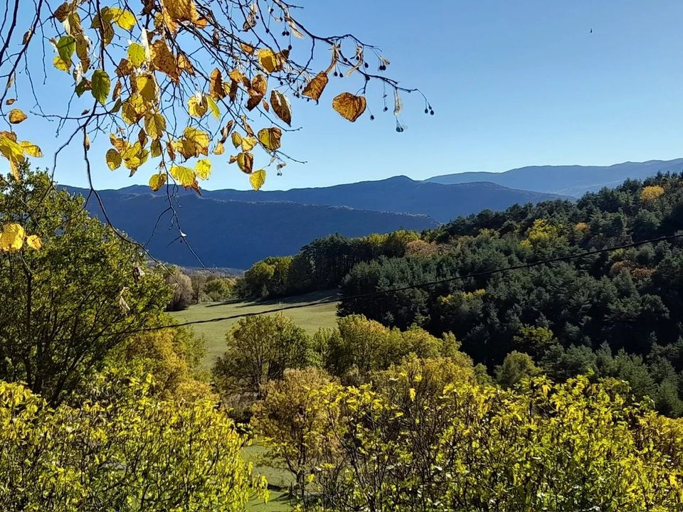 Landejendom i Saint-Pierre, Alpes-de-Haute-Provence - foto 4